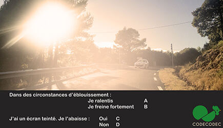 Test 7